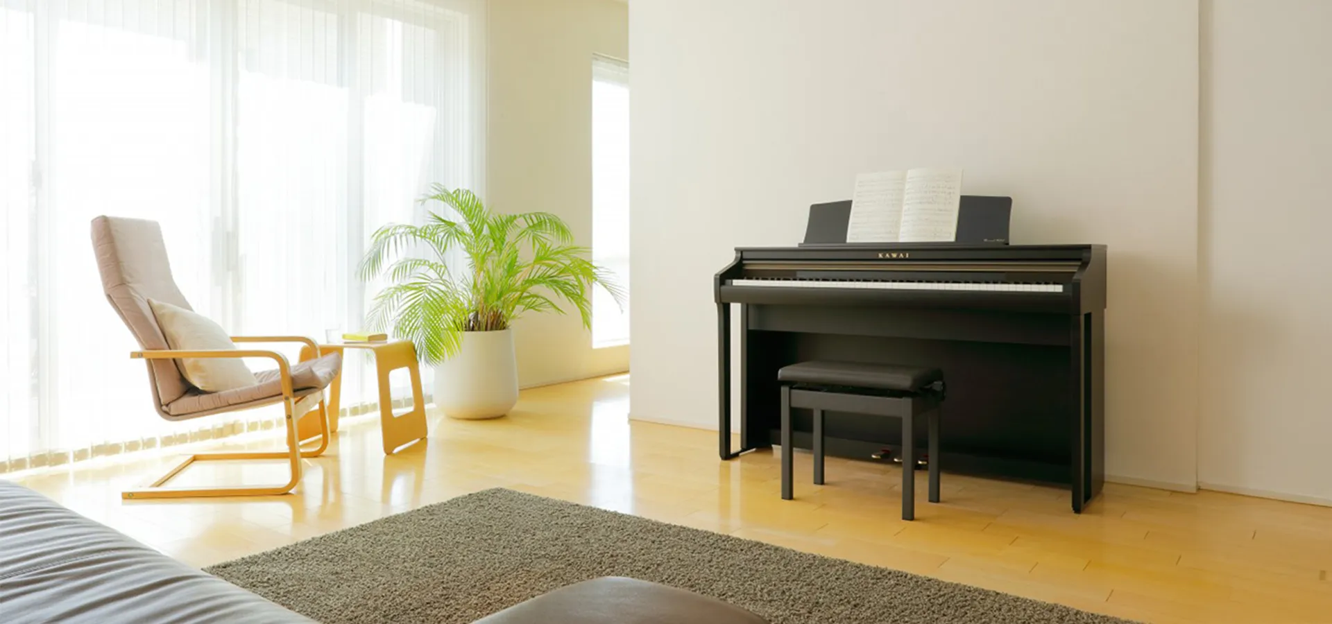 Music City – Tổng Kho Piano, Guitar, Organ | Dịch Vụ Giáo Dục Âm Nhạc