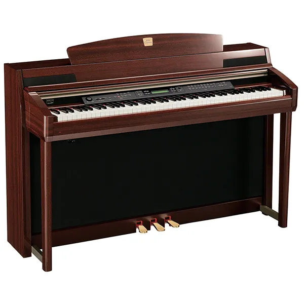 Music City – Tổng Kho Piano, Guitar, Organ | Dịch Vụ Giáo Dục Âm Nhạc