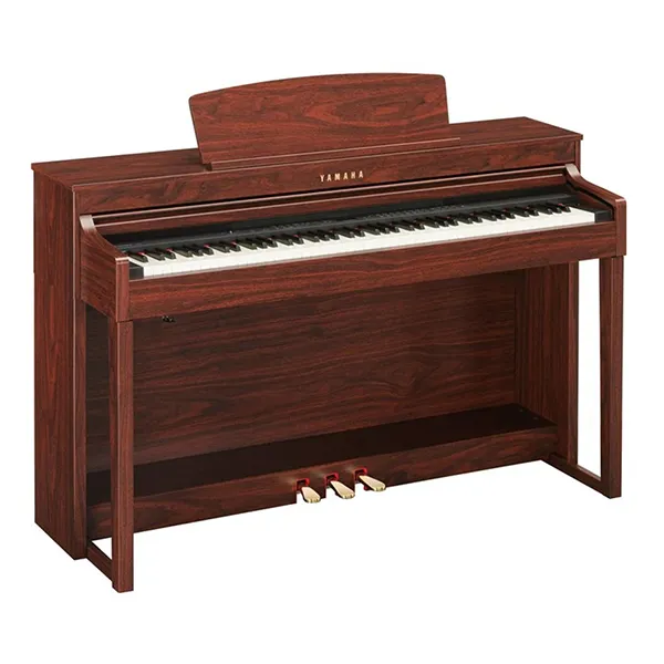 Music City – Tổng Kho Piano, Guitar, Organ | Dịch Vụ Giáo Dục Âm Nhạc