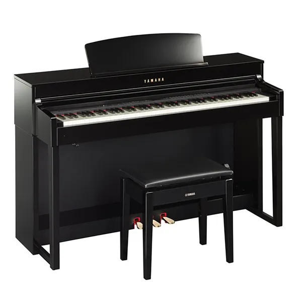 Music City – Tổng Kho Piano, Guitar, Organ | Dịch Vụ Giáo Dục Âm Nhạc