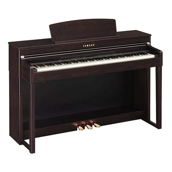 Music City – Tổng Kho Piano, Guitar, Organ | Dịch Vụ Giáo Dục Âm Nhạc