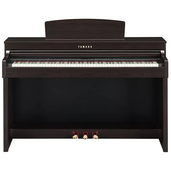 Music City – Tổng Kho Piano, Guitar, Organ | Dịch Vụ Giáo Dục Âm Nhạc