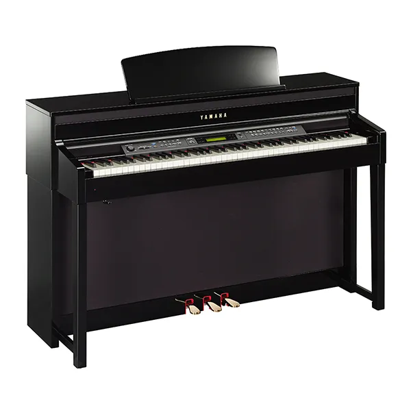 Music City – Tổng Kho Piano, Guitar, Organ | Dịch Vụ Giáo Dục Âm Nhạc