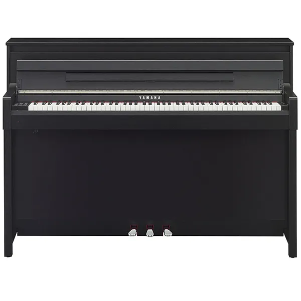 Music City – Tổng Kho Piano, Guitar, Organ | Dịch Vụ Giáo Dục Âm Nhạc