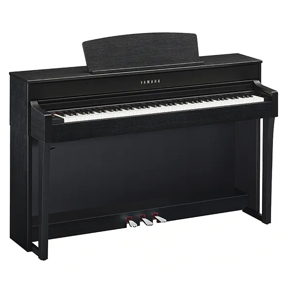 Music City – Tổng Kho Piano, Guitar, Organ | Dịch Vụ Giáo Dục Âm Nhạc
