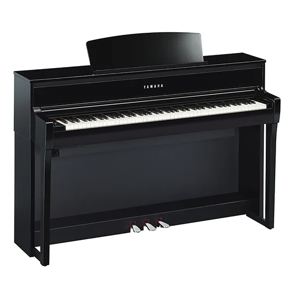 Music City – Tổng Kho Piano, Guitar, Organ | Dịch Vụ Giáo Dục Âm Nhạc