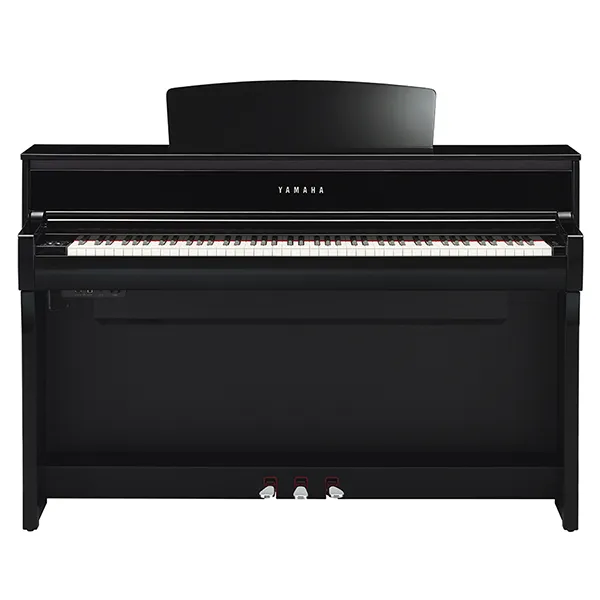 Music City – Tổng Kho Piano, Guitar, Organ | Dịch Vụ Giáo Dục Âm Nhạc