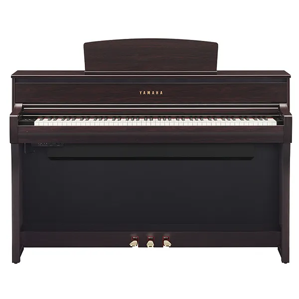 Music City – Tổng Kho Piano, Guitar, Organ | Dịch Vụ Giáo Dục Âm Nhạc