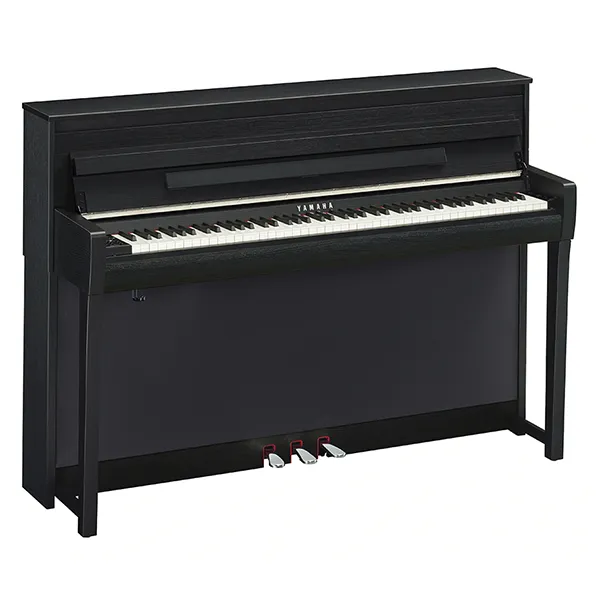 Music City – Tổng Kho Piano, Guitar, Organ | Dịch Vụ Giáo Dục Âm Nhạc