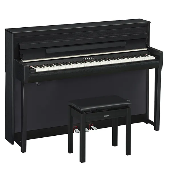 Music City – Tổng Kho Piano, Guitar, Organ | Dịch Vụ Giáo Dục Âm Nhạc