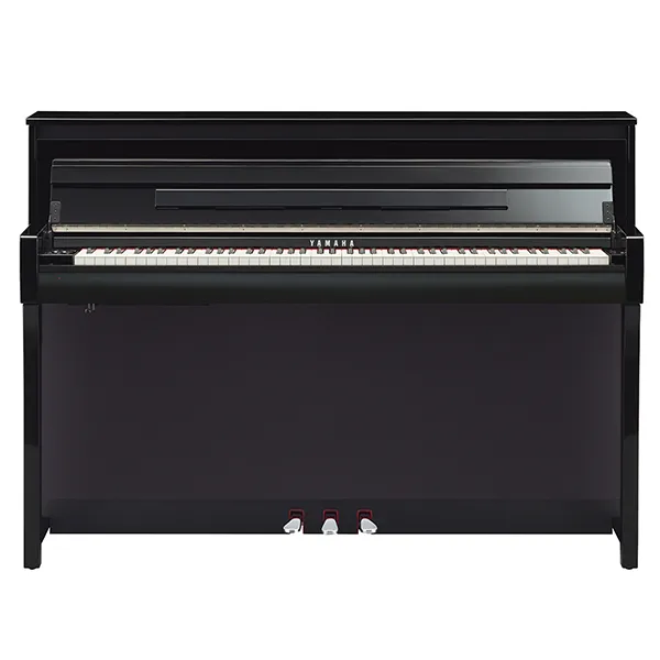 Music City – Tổng Kho Piano, Guitar, Organ | Dịch Vụ Giáo Dục Âm Nhạc
