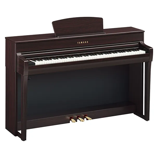 Music City – Tổng Kho Piano, Guitar, Organ | Dịch Vụ Giáo Dục Âm Nhạc
