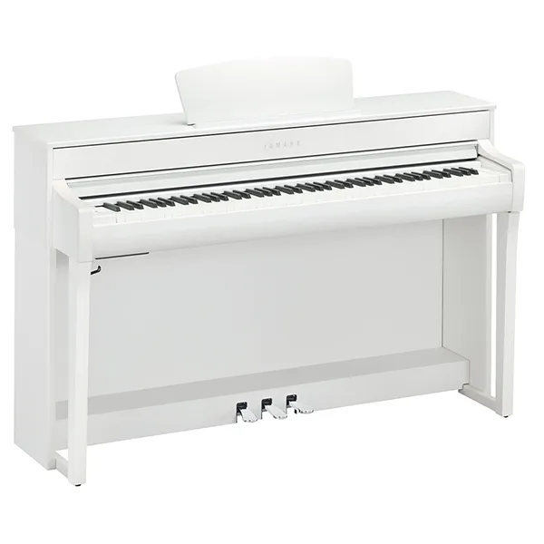 Music City – Tổng Kho Piano, Guitar, Organ | Dịch Vụ Giáo Dục Âm Nhạc