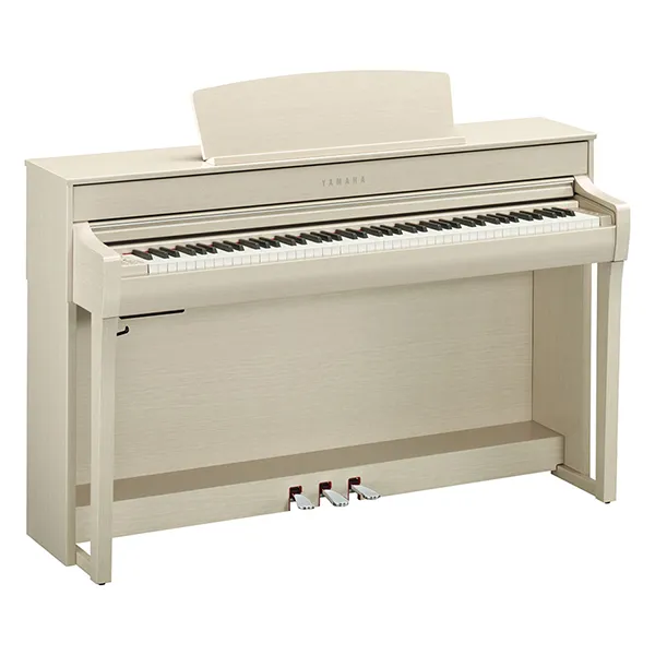 Music City – Tổng Kho Piano, Guitar, Organ | Dịch Vụ Giáo Dục Âm Nhạc