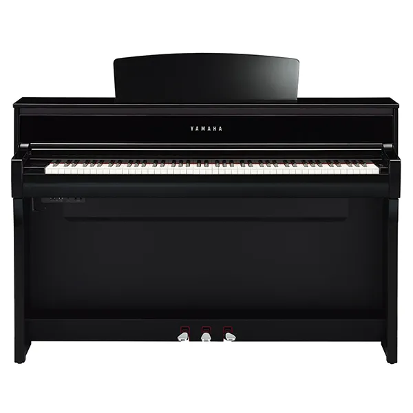 Music City – Tổng Kho Piano, Guitar, Organ | Dịch Vụ Giáo Dục Âm Nhạc