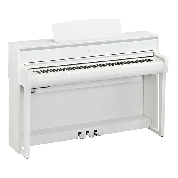 Music City – Tổng Kho Piano, Guitar, Organ | Dịch Vụ Giáo Dục Âm Nhạc