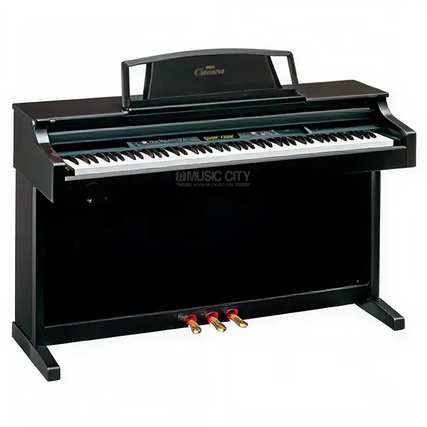 Music City – Tổng Kho Piano, Guitar, Organ | Dịch Vụ Giáo Dục Âm Nhạc