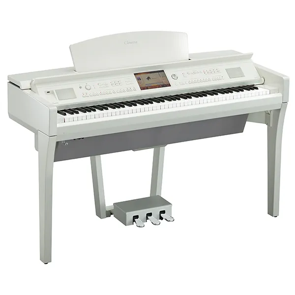 Music City – Tổng Kho Piano, Guitar, Organ | Dịch Vụ Giáo Dục Âm Nhạc