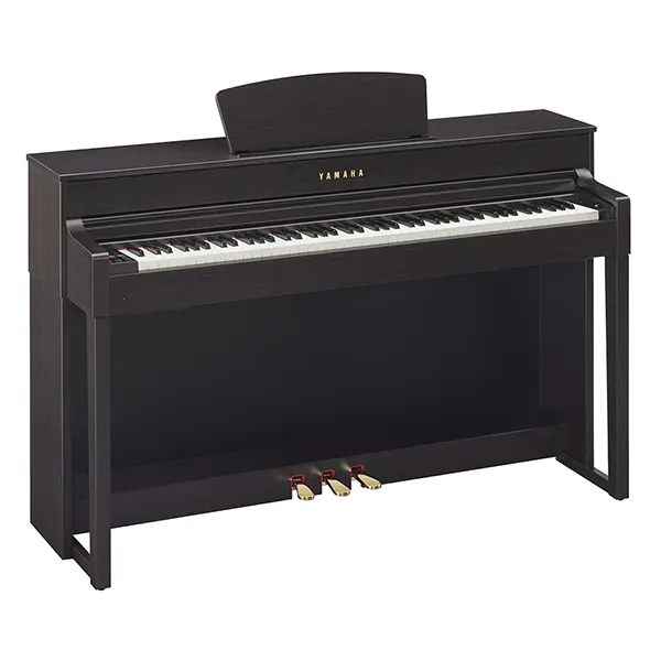 Music City – Tổng Kho Piano, Guitar, Organ | Dịch Vụ Giáo Dục Âm Nhạc