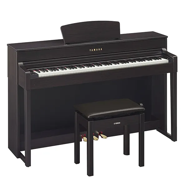 Music City – Tổng Kho Piano, Guitar, Organ | Dịch Vụ Giáo Dục Âm Nhạc