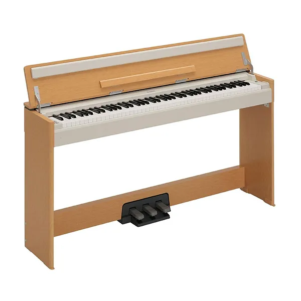 Music City – Tổng Kho Piano, Guitar, Organ | Dịch Vụ Giáo Dục Âm Nhạc