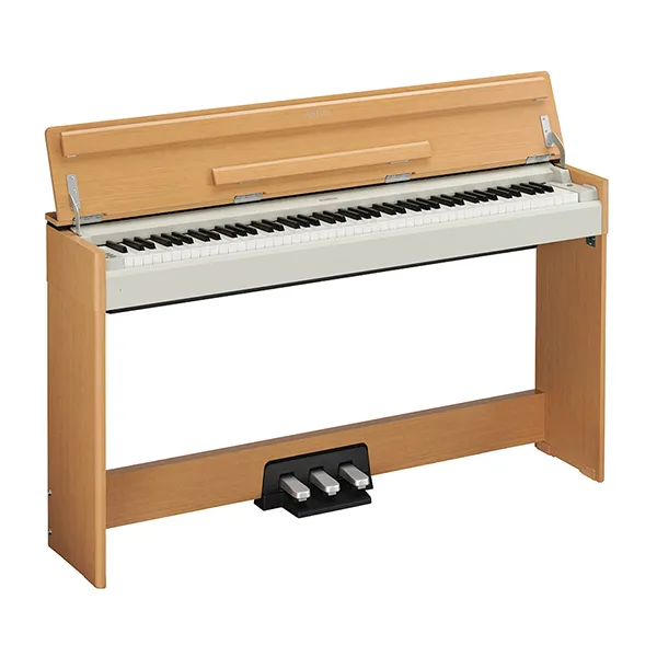 Music City – Tổng Kho Piano, Guitar, Organ | Dịch Vụ Giáo Dục Âm Nhạc