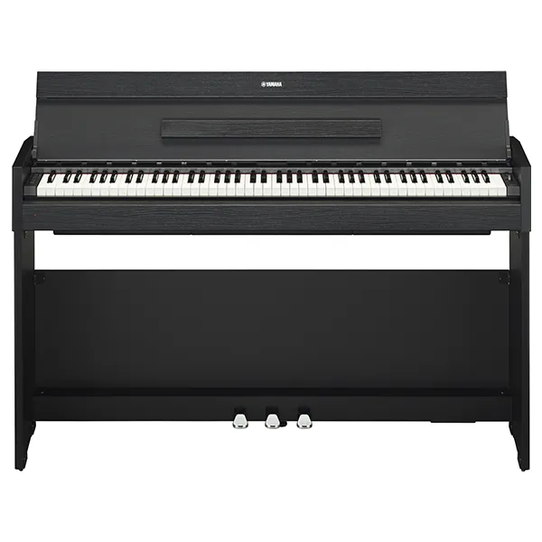 Music City – Tổng Kho Piano, Guitar, Organ | Dịch Vụ Giáo Dục Âm Nhạc