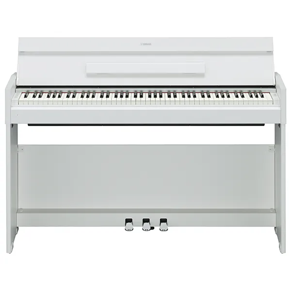 Music City – Tổng Kho Piano, Guitar, Organ | Dịch Vụ Giáo Dục Âm Nhạc