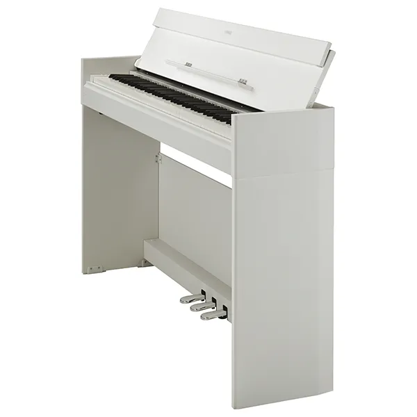 Music City – Tổng Kho Piano, Guitar, Organ | Dịch Vụ Giáo Dục Âm Nhạc