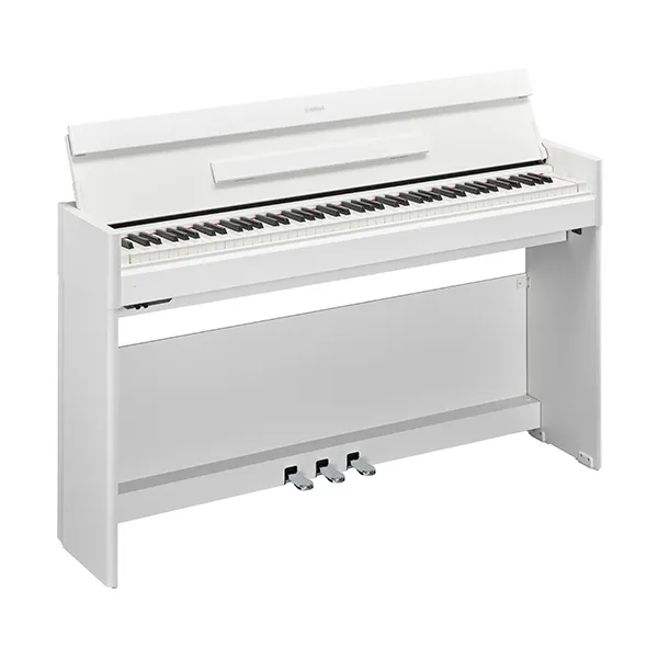 Music City – Tổng Kho Piano, Guitar, Organ | Dịch Vụ Giáo Dục Âm Nhạc