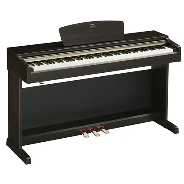 Music City – Tổng Kho Piano, Guitar, Organ | Dịch Vụ Giáo Dục Âm Nhạc