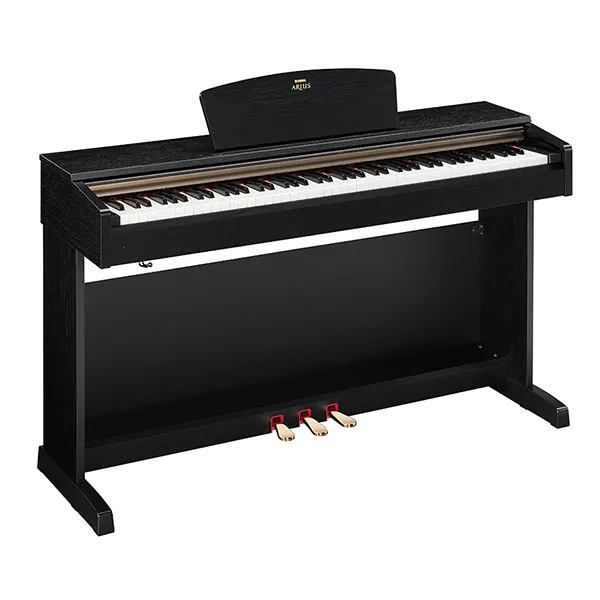 Music City – Tổng Kho Piano, Guitar, Organ | Dịch Vụ Giáo Dục Âm Nhạc