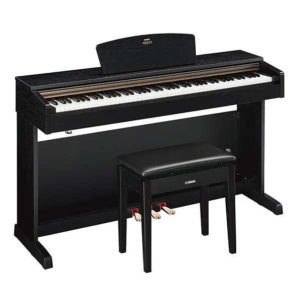 Music City – Tổng Kho Piano, Guitar, Organ | Dịch Vụ Giáo Dục Âm Nhạc