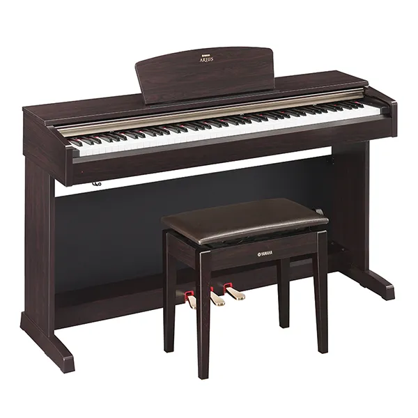 Music City – Tổng Kho Piano, Guitar, Organ | Dịch Vụ Giáo Dục Âm Nhạc