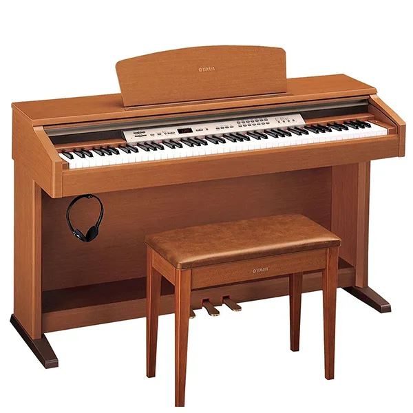 Music City – Tổng Kho Piano, Guitar, Organ | Dịch Vụ Giáo Dục Âm Nhạc