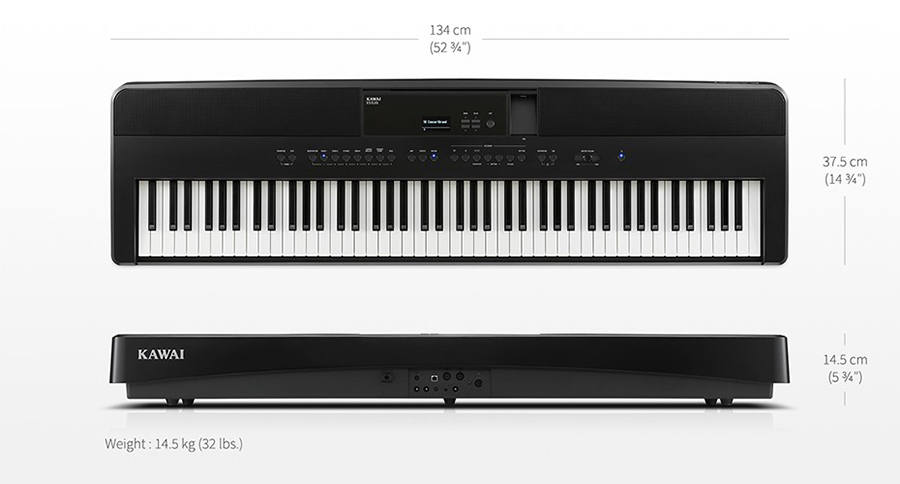 Music City – Tổng Kho Piano, Guitar, Organ | Dịch Vụ Giáo Dục Âm Nhạc