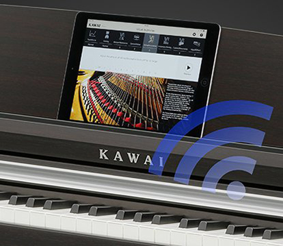 Music City – Tổng Kho Piano, Guitar, Organ | Dịch Vụ Giáo Dục Âm Nhạc