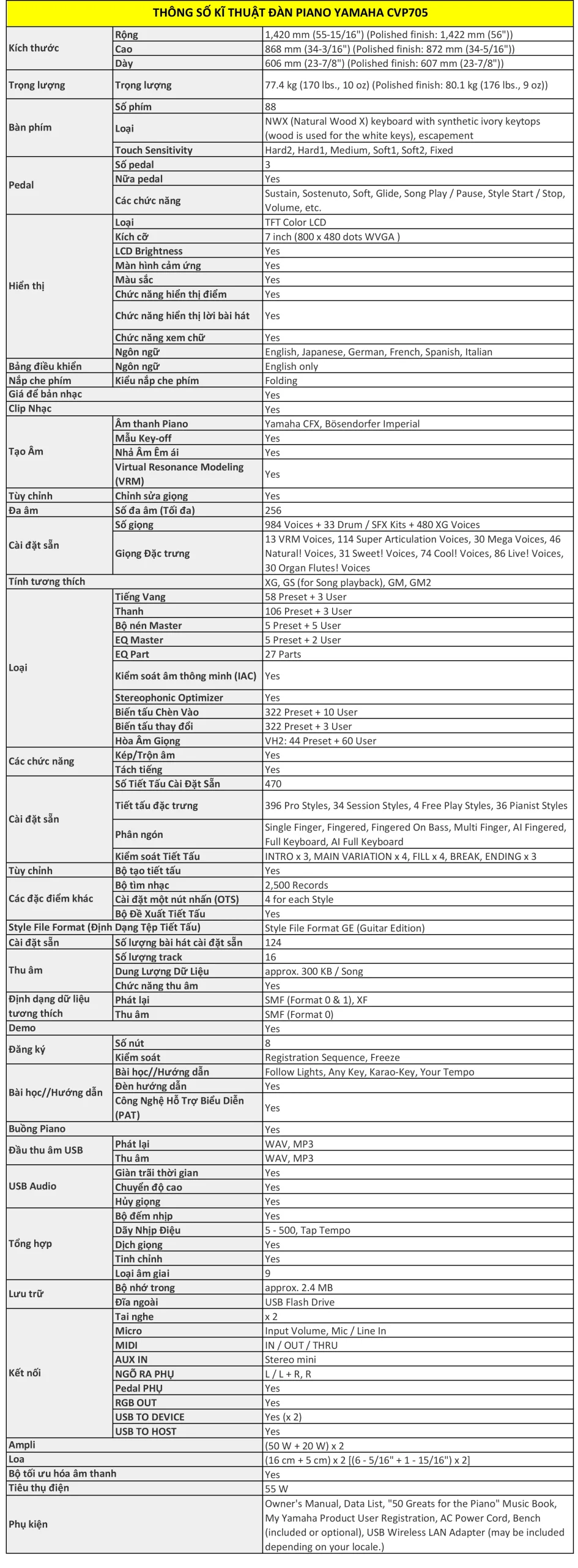 Music City – Tổng Kho Piano, Guitar, Organ | Dịch Vụ Giáo Dục Âm Nhạc