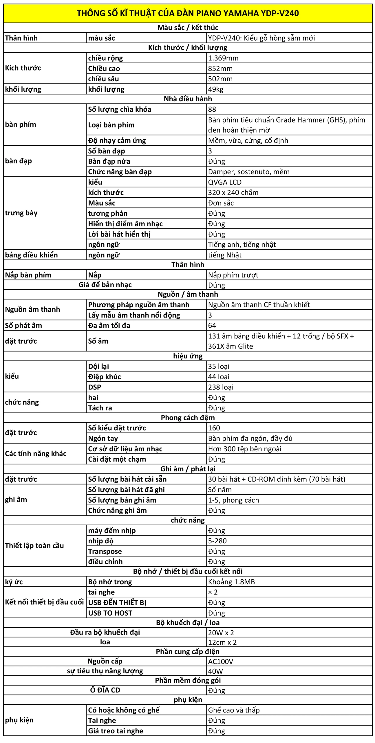 Music City – Tổng Kho Piano, Guitar, Organ | Dịch Vụ Giáo Dục Âm Nhạc