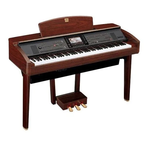 Music City – Tổng Kho Piano, Guitar, Organ | Dịch Vụ Giáo Dục Âm Nhạc