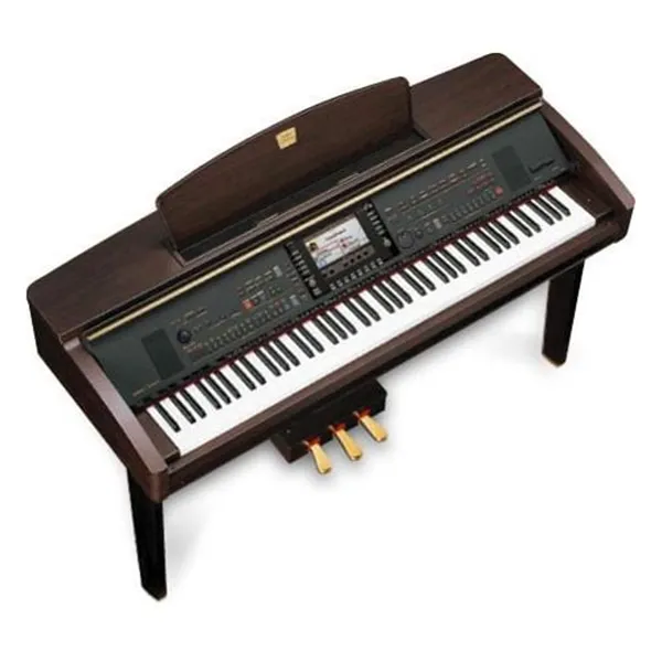 Music City – Tổng Kho Piano, Guitar, Organ | Dịch Vụ Giáo Dục Âm Nhạc