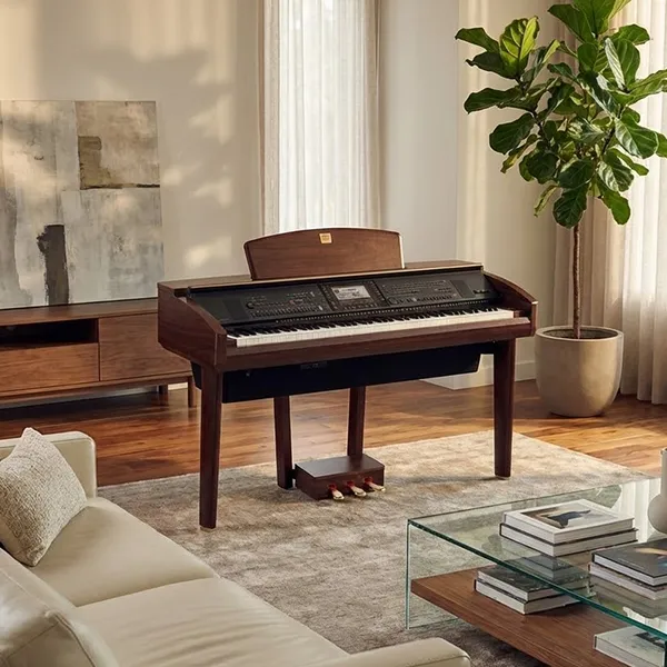 Music City – Tổng Kho Piano, Guitar, Organ | Dịch Vụ Giáo Dục Âm Nhạc