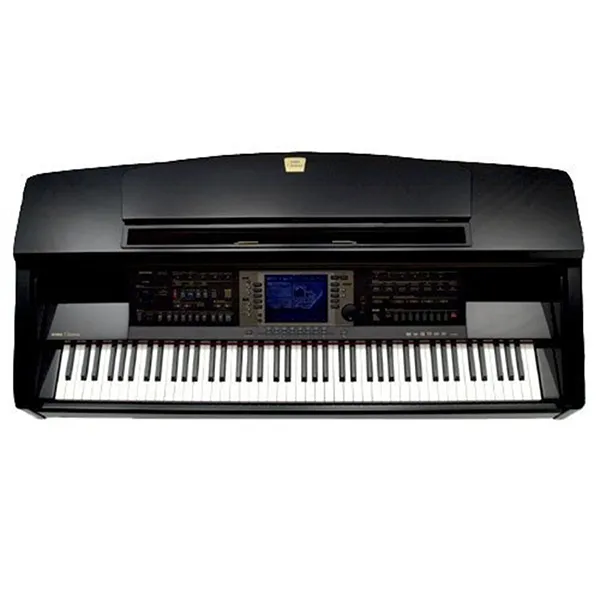 Music City – Tổng Kho Piano, Guitar, Organ | Dịch Vụ Giáo Dục Âm Nhạc