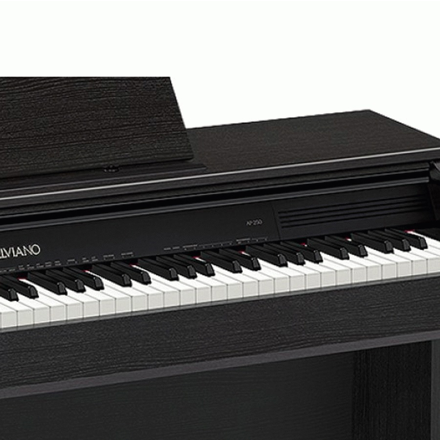 Music City – Tổng Kho Piano, Guitar, Organ | Dịch Vụ Giáo Dục Âm Nhạc