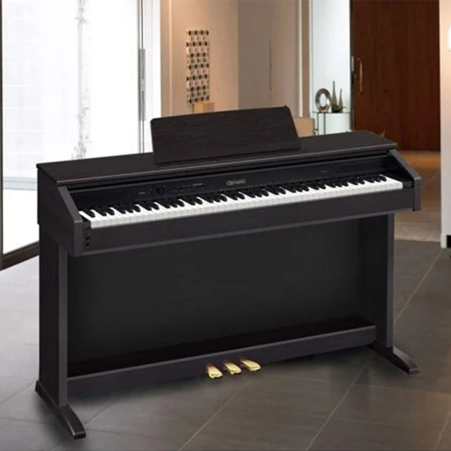 Music City – Tổng Kho Piano, Guitar, Organ | Dịch Vụ Giáo Dục Âm Nhạc