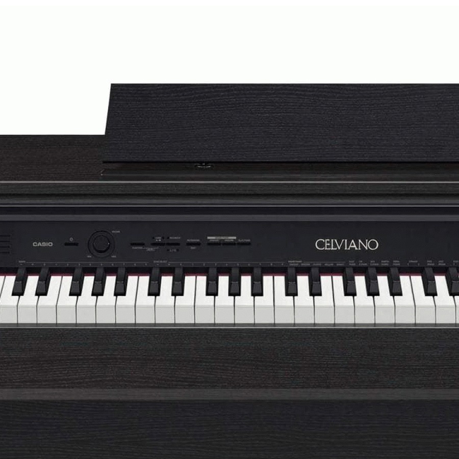 Music City – Tổng Kho Piano, Guitar, Organ | Dịch Vụ Giáo Dục Âm Nhạc