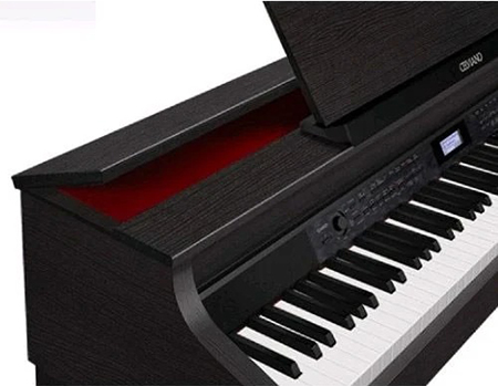 Music City – Tổng Kho Piano, Guitar, Organ | Dịch Vụ Giáo Dục Âm Nhạc