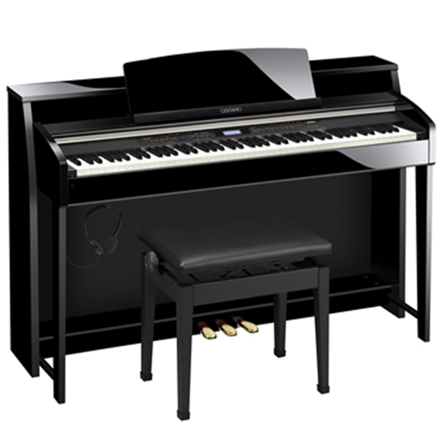 Music City – Tổng Kho Piano, Guitar, Organ | Dịch Vụ Giáo Dục Âm Nhạc