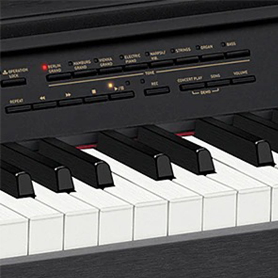 Music City – Tổng Kho Piano, Guitar, Organ | Dịch Vụ Giáo Dục Âm Nhạc