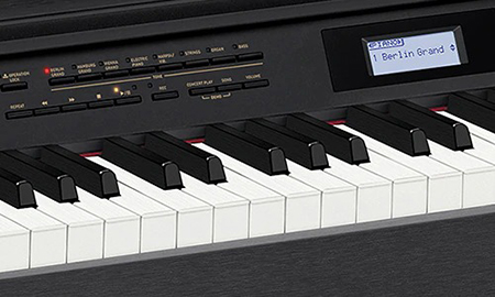 Music City – Tổng Kho Piano, Guitar, Organ | Dịch Vụ Giáo Dục Âm Nhạc